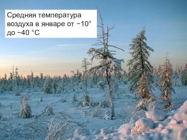Средняя температура воздуха в январе от −10° до −40 °C