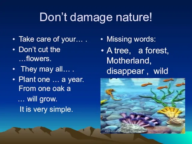 Don’t damage nature! Take care of your… . Don’t cut the …flowers.