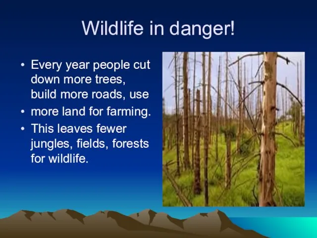 Wildlife in danger! Every year people cut down more trees, build more