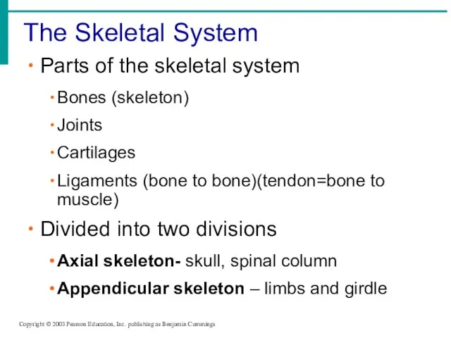 The Skeletal System Copyright © 2003 Pearson Education, Inc. publishing as Benjamin