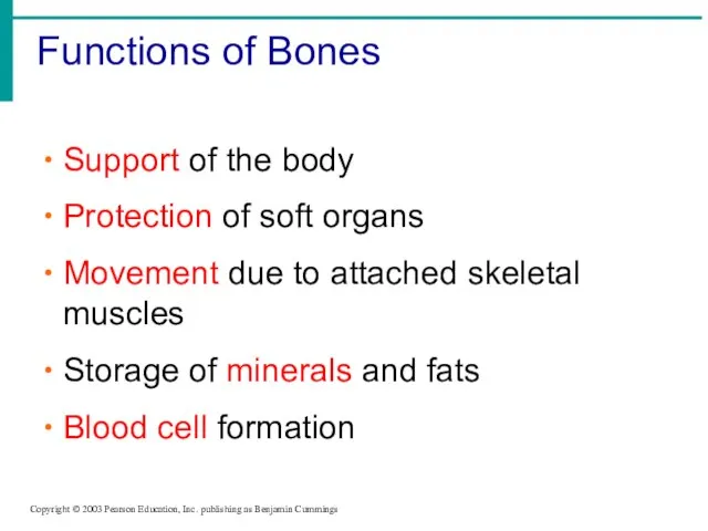 Functions of Bones Copyright © 2003 Pearson Education, Inc. publishing as Benjamin