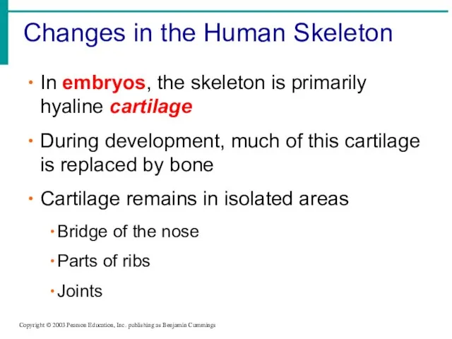 Changes in the Human Skeleton Copyright © 2003 Pearson Education, Inc. publishing