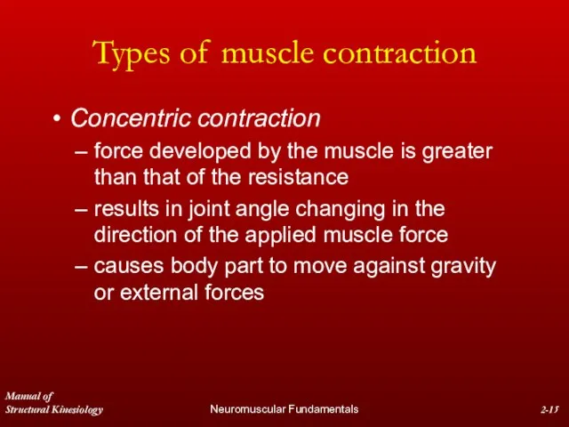 Manual of Structural Kinesiology Neuromuscular Fundamentals 2- Types of muscle contraction Concentric