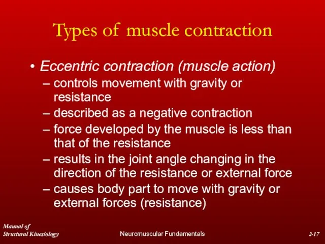 Manual of Structural Kinesiology Neuromuscular Fundamentals 2- Types of muscle contraction Eccentric