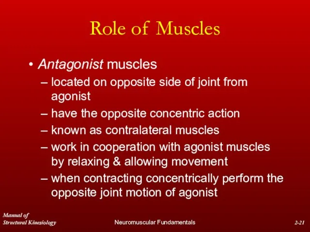 Manual of Structural Kinesiology Neuromuscular Fundamentals 2- Role of Muscles Antagonist muscles