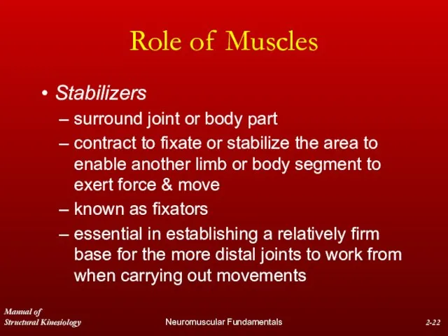 Manual of Structural Kinesiology Neuromuscular Fundamentals 2- Role of Muscles Stabilizers surround