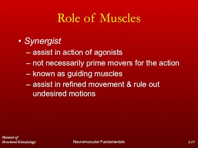 Manual of Structural Kinesiology Neuromuscular Fundamentals 2- Role of Muscles Synergist assist