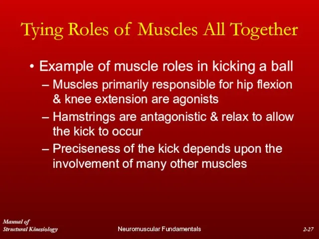 Manual of Structural Kinesiology Neuromuscular Fundamentals 2- Tying Roles of Muscles All