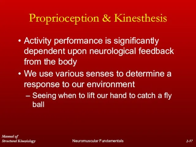 Manual of Structural Kinesiology Neuromuscular Fundamentals 2- Proprioception & Kinesthesis Activity performance