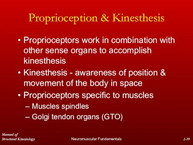 Manual of Structural Kinesiology Neuromuscular Fundamentals 2- Proprioception & Kinesthesis Proprioceptors work