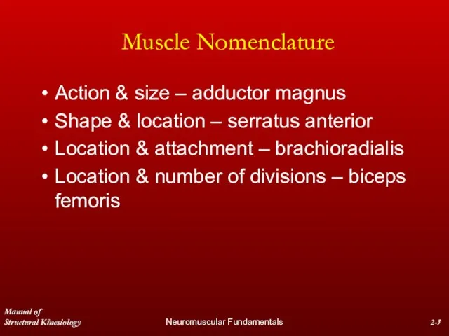 Manual of Structural Kinesiology Neuromuscular Fundamentals 2- Muscle Nomenclature Action & size