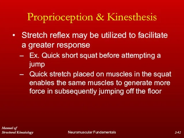 Manual of Structural Kinesiology Neuromuscular Fundamentals 2- Proprioception & Kinesthesis Stretch reflex