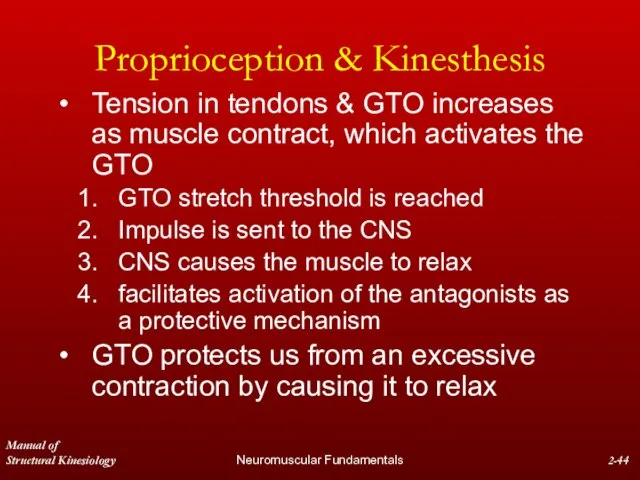 Manual of Structural Kinesiology Neuromuscular Fundamentals 2- Proprioception & Kinesthesis Tension in