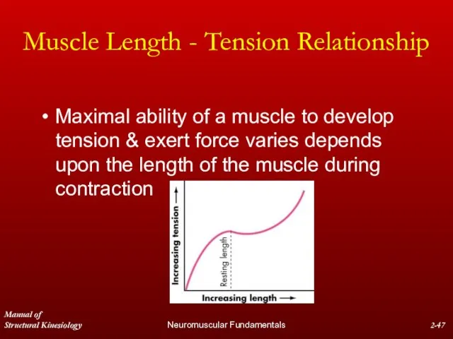 Manual of Structural Kinesiology Neuromuscular Fundamentals 2- Muscle Length - Tension Relationship