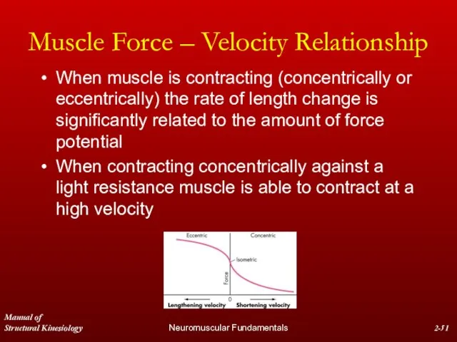 Manual of Structural Kinesiology Neuromuscular Fundamentals 2- Muscle Force – Velocity Relationship