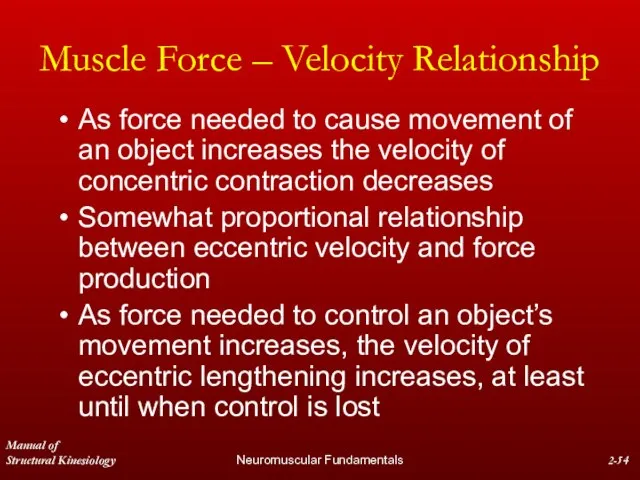 Manual of Structural Kinesiology Neuromuscular Fundamentals 2- Muscle Force – Velocity Relationship