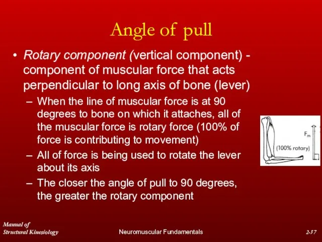 Manual of Structural Kinesiology Neuromuscular Fundamentals 2- Angle of pull Rotary component