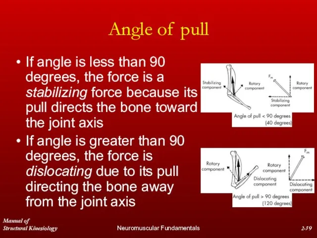 Manual of Structural Kinesiology Neuromuscular Fundamentals 2- Angle of pull If angle