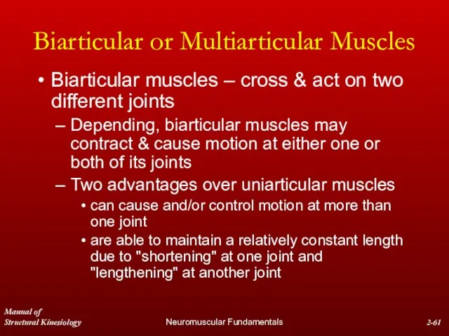 Manual of Structural Kinesiology Neuromuscular Fundamentals 2- Biarticular or Multiarticular Muscles Biarticular