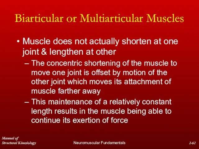Manual of Structural Kinesiology Neuromuscular Fundamentals 2- Biarticular or Multiarticular Muscles Muscle