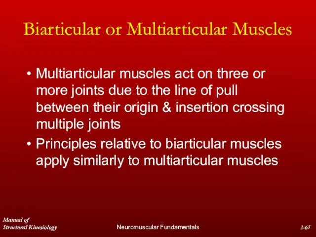 Manual of Structural Kinesiology Neuromuscular Fundamentals 2- Biarticular or Multiarticular Muscles Multiarticular