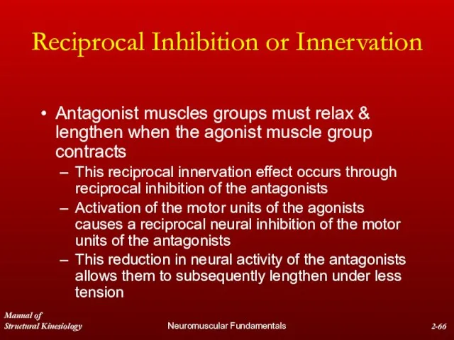 Manual of Structural Kinesiology Neuromuscular Fundamentals 2- Reciprocal Inhibition or Innervation Antagonist