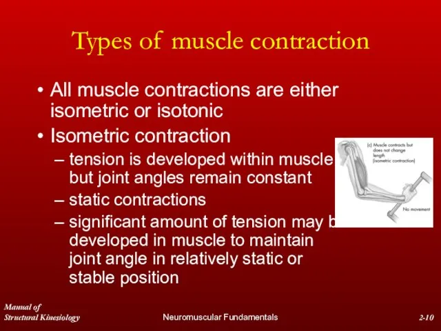 Manual of Structural Kinesiology Neuromuscular Fundamentals 2- Types of muscle contraction All