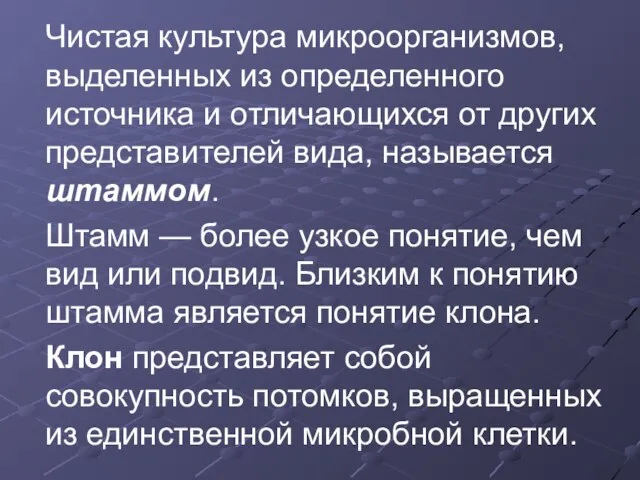 Чистая культура микроорганизмов, выделенных из определенного источника и отличающихся от других представителей