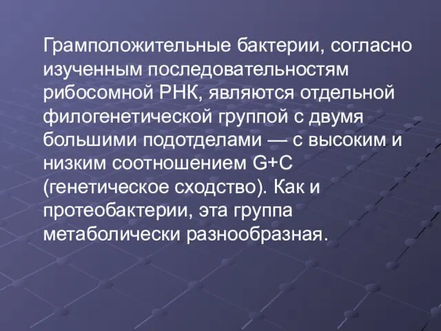 Грамположительные бактерии, согласно изученным последовательностям рибосомной РНК, являются отдельной филогенетической группой с