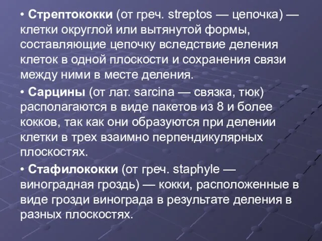 • Стрептококки (от греч. streptos — цепочка) — клетки округлой или вытянутой