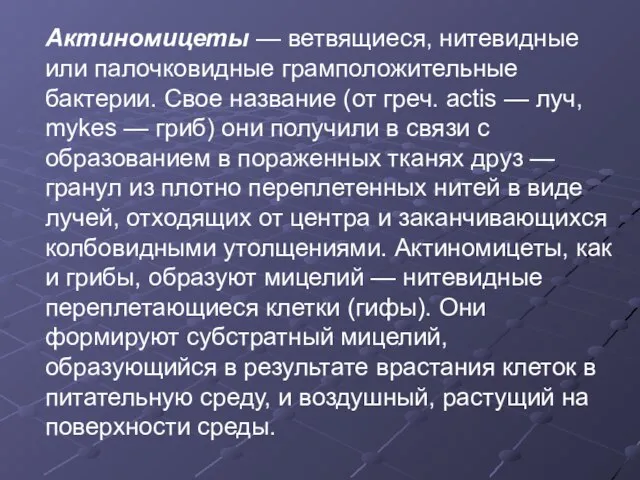 Актиномицеты — ветвящиеся, нитевидные или палочковидные грамположительные бактерии. Свое название (от греч.