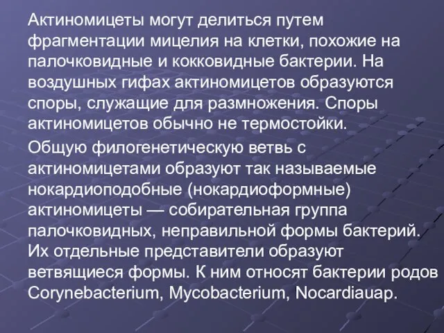 Актиномицеты могут делиться путем фрагментации мицелия на клетки, похожие на палочковидные и