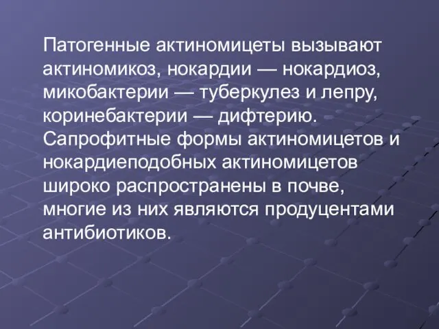 Патогенные актиномицеты вызывают актиномикоз, нокардии — нокардиоз, микобактерии — туберкулез и лепру,