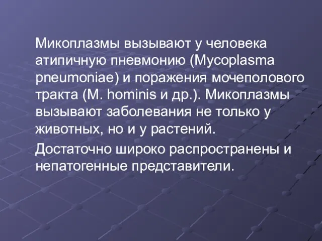 Микоплазмы вызывают у человека атипичную пневмонию (Mycoplasma pneumoniae) и поражения мочеполового тракта