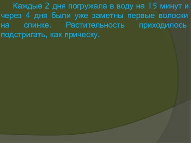 Каждые 2 дня погружала в воду на 15 минут и через 4