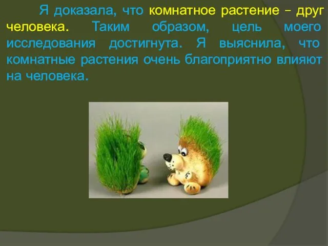 Я доказала, что комнатное растение – друг человека. Таким образом, цель моего