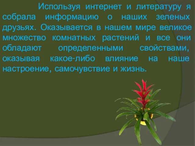 Используя интернет и литературу я собрала информацию о наших зеленых друзьях. Оказывается