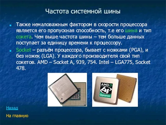 Частота системной шины Также немаловажным фактором в скорости процессора является его пропускная