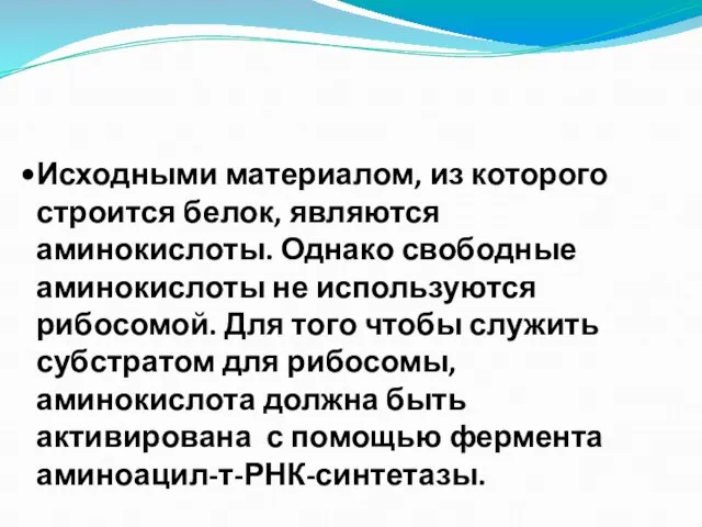 Исходными материалом, из которого строится белок, являются аминокислоты. Однако свободные аминокислоты не