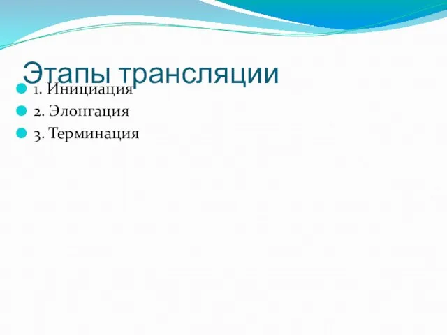 Этапы трансляции 1. Инициация 2. Элонгация 3. Терминация