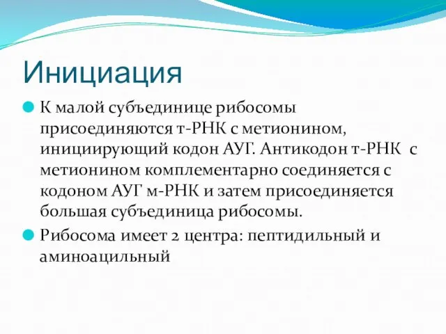 Инициация К малой субъединице рибосомы присоединяются т-РНК с метионином, инициирующий кодон АУГ.