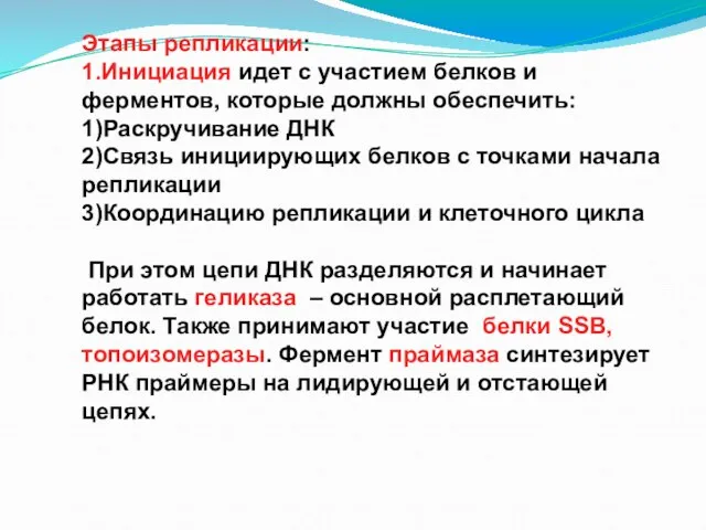 Этапы репликации: 1.Инициация идет с участием белков и ферментов, которые должны обеспечить: