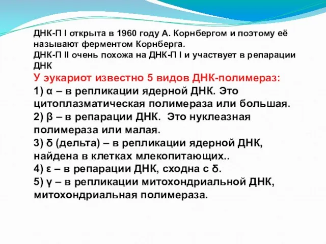 ДНК-П I открыта в 1960 году А. Корнбергом и поэтому её называют