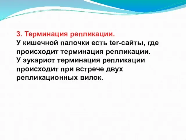 3. Терминация репликации. У кишечной палочки есть ter-сайты, где происходит терминация репликации.