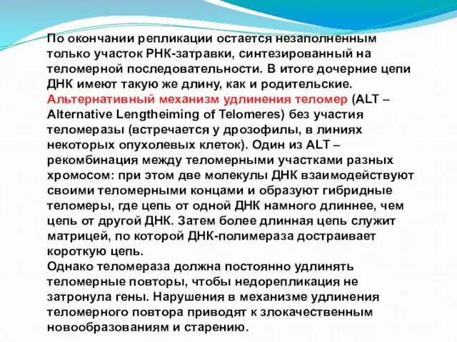 По окончании репликации остается незаполненным только участок РНК-затравки, синтезированный на теломерной последовательности.