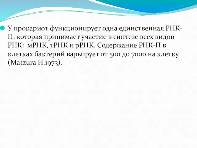 У прокариот функционирует одна единственная РНК-П, которая принимает участие в синтезе всех