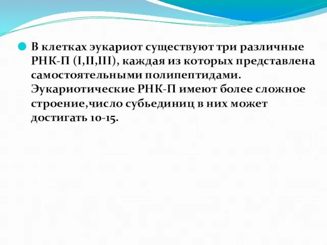 В клетках эукариот существуют три различные РНК-П (I,II,III), каждая из которых представлена