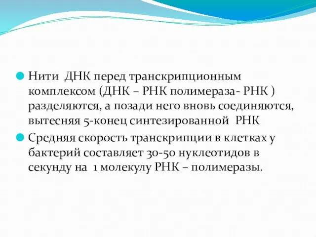 Нити ДНК перед транскрипционным комплексом (ДНК – РНК полимераза- РНК ) разделяются,