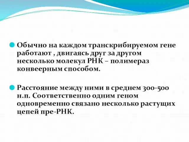 Обычно на каждом транскрибируемом гене работают , двигаясь друг за другом несколько