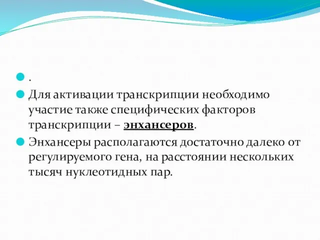 . Для активации транскрипции необходимо участие также специфических факторов транскрипции – энхансеров.